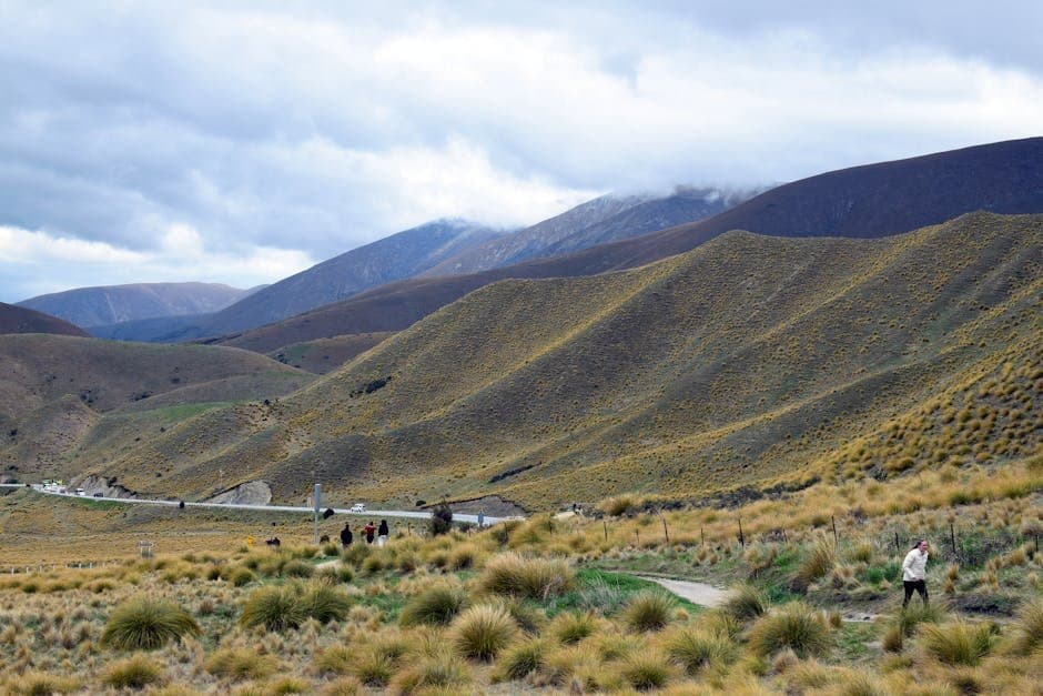 Guide Image: New Zealand (by Chris Brown)