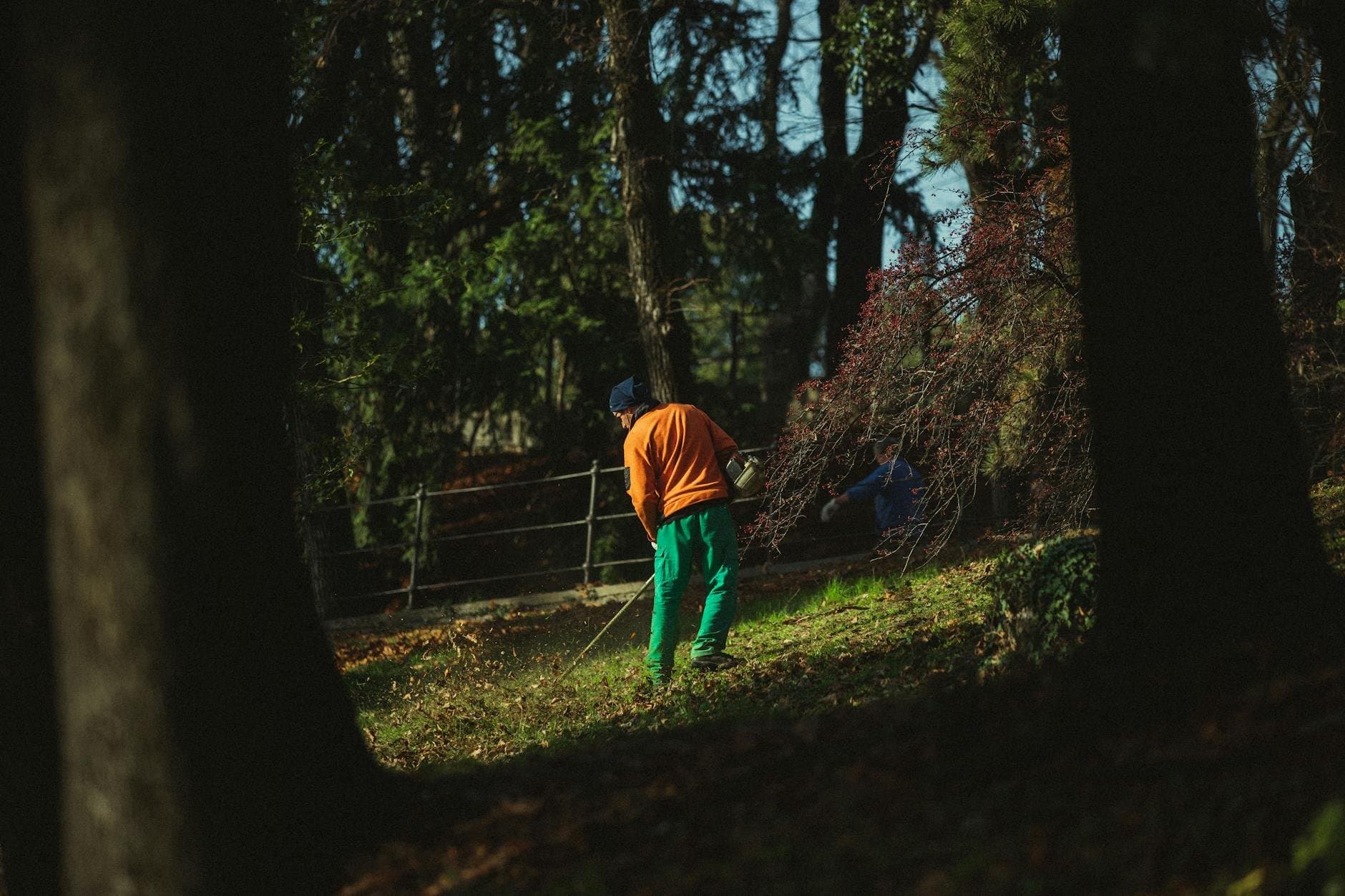 Article Image: seasonal work (by Valentin Angel Fernandez)