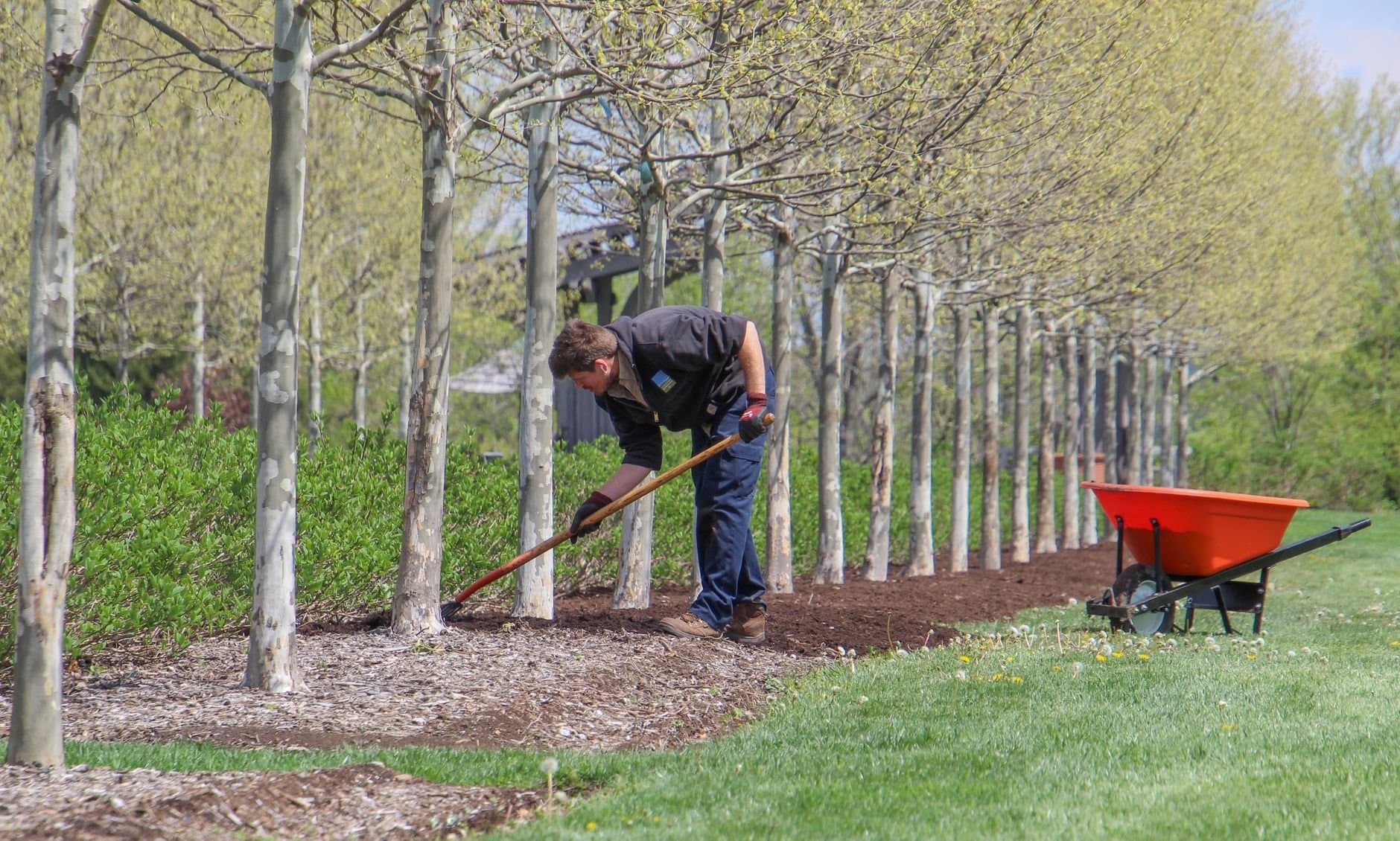 Article Image: seasonal work (by Karen F)