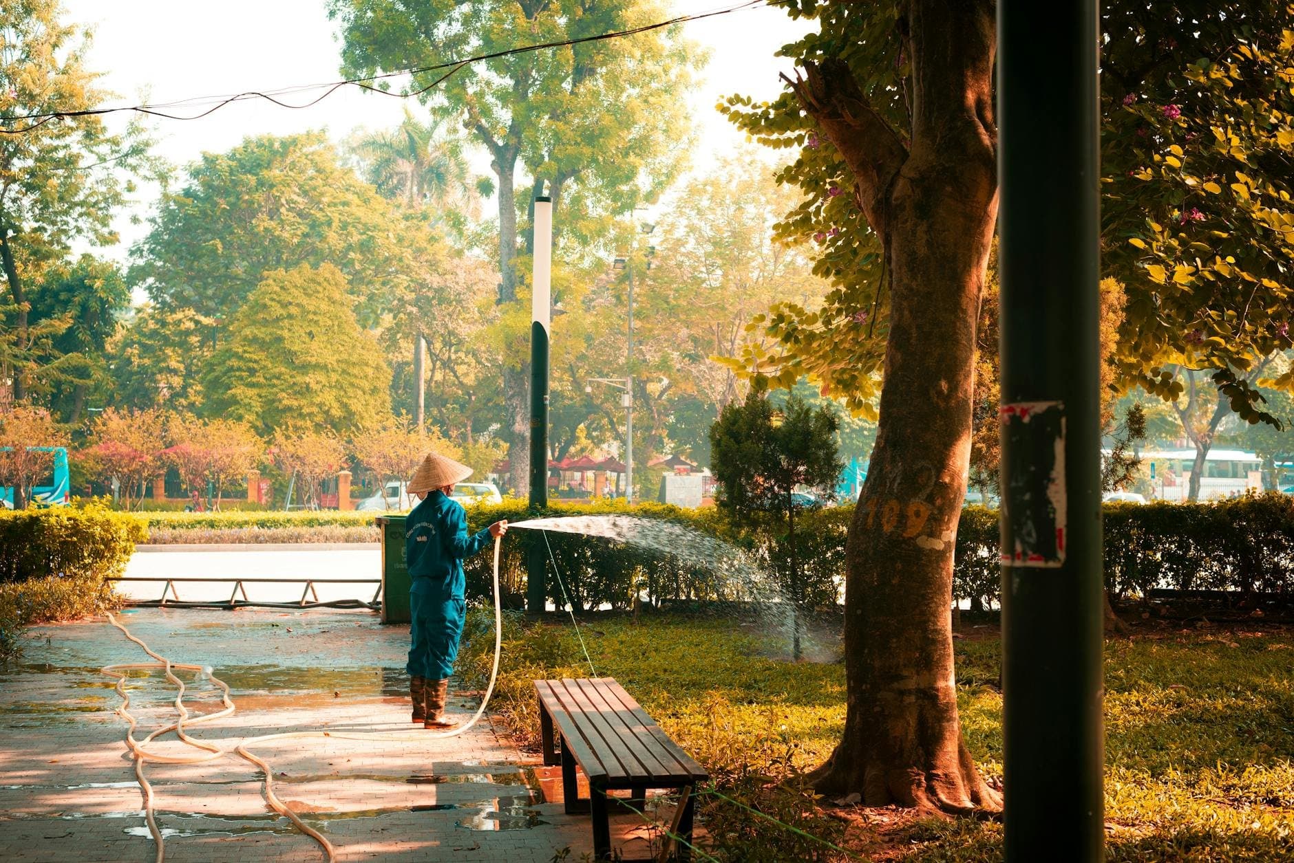 Article Image: seasonal job (by Duc Nguyen)
