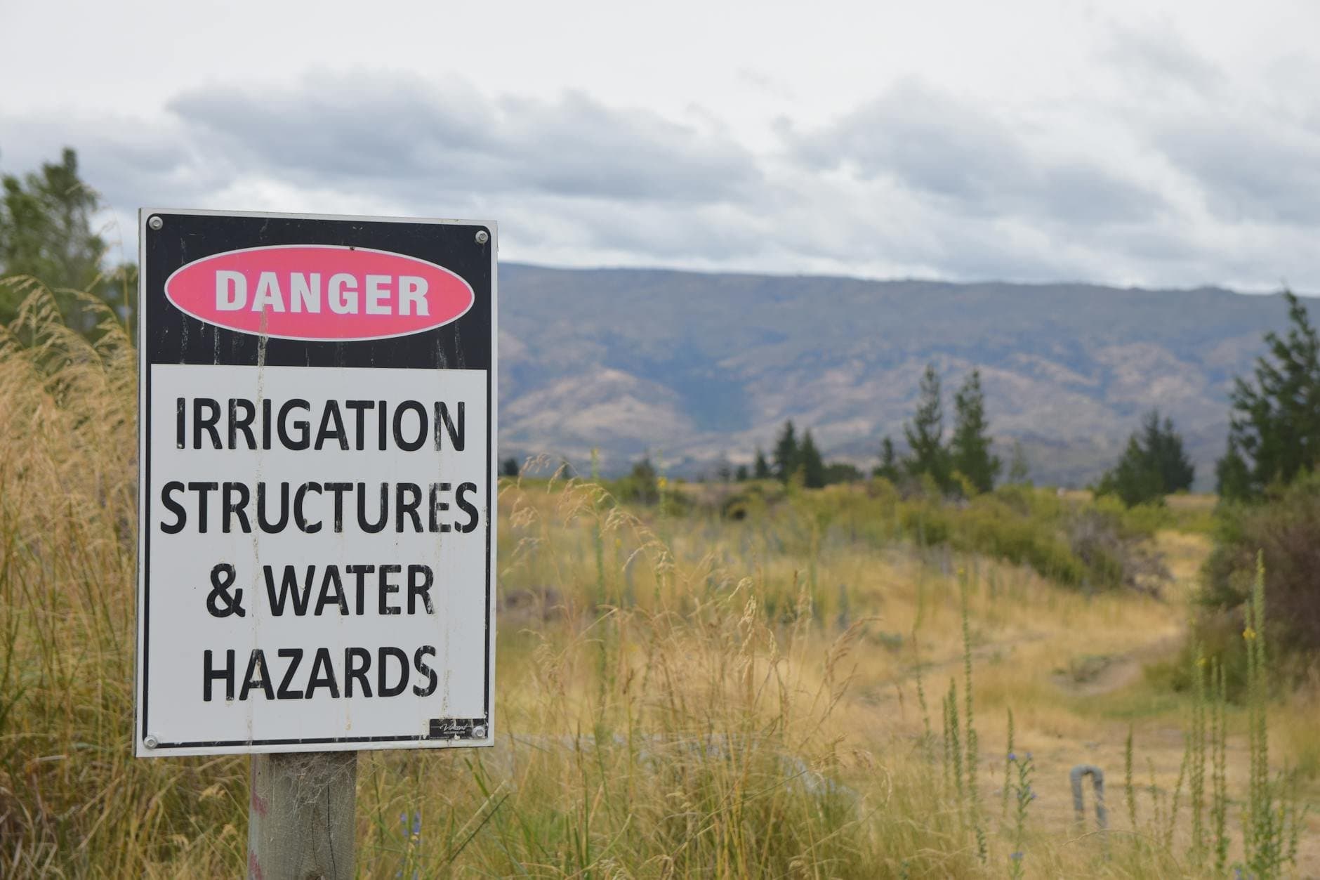 Article Image: seasonal work NZ (by Chris Brown)