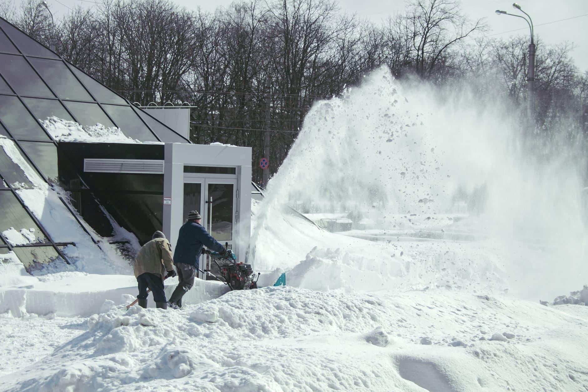 Article Image: seasonal jobs (by Nadin Nandin)
