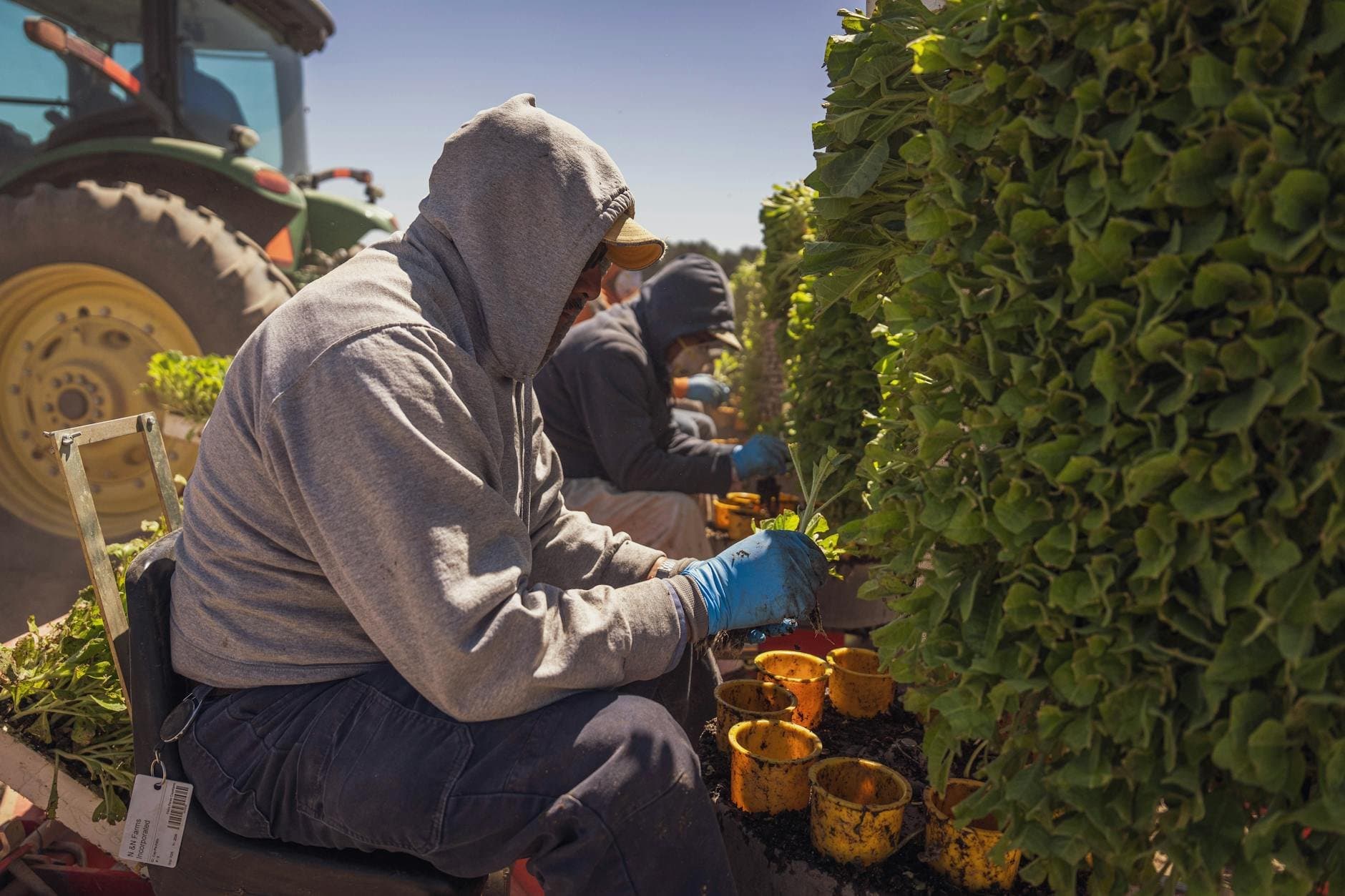 Article Image: seasonal jobs (by Mark Stebnicki)