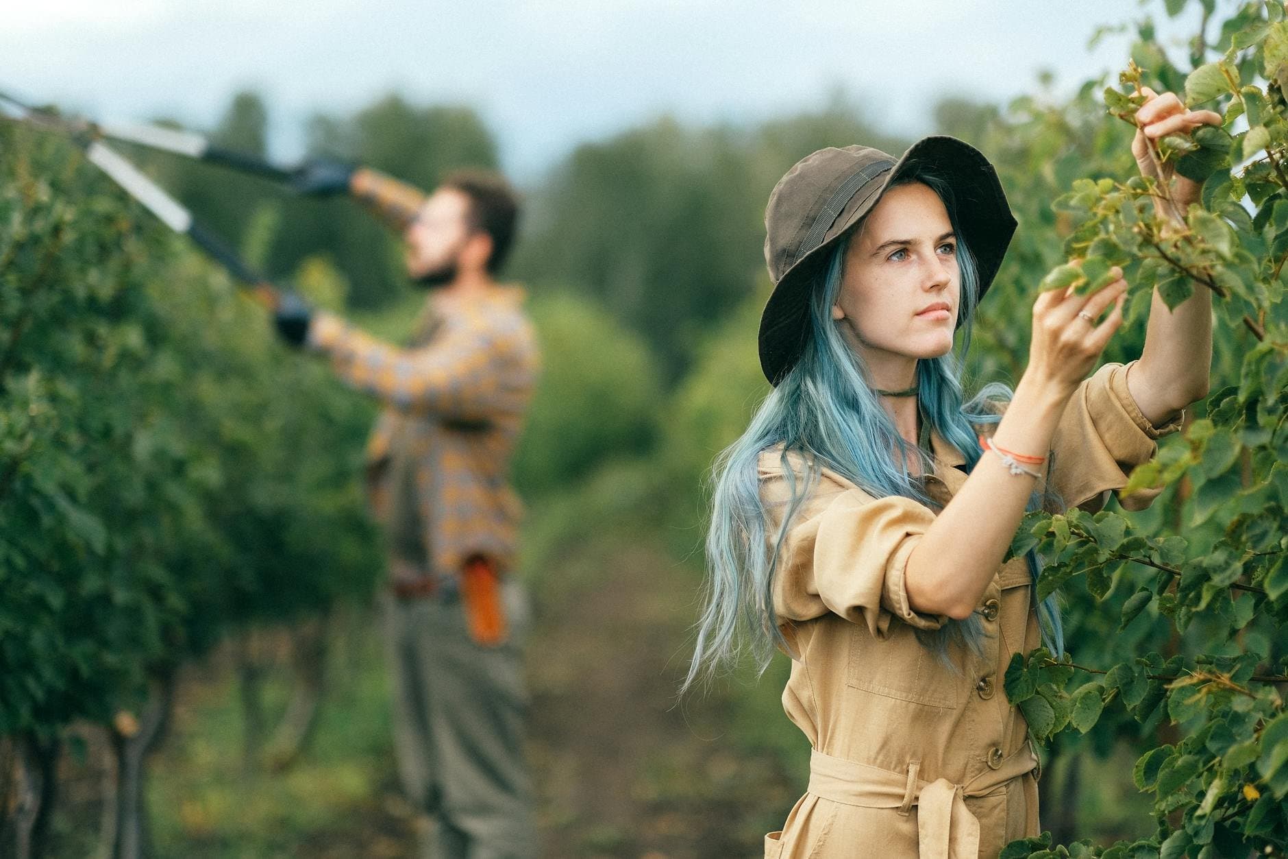 Article Image: seasonal jobs (by Anna Shvets)