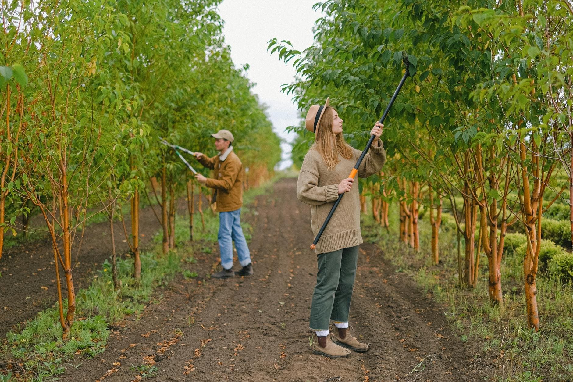 Article Image: seasonal work (by Anna Shvets)