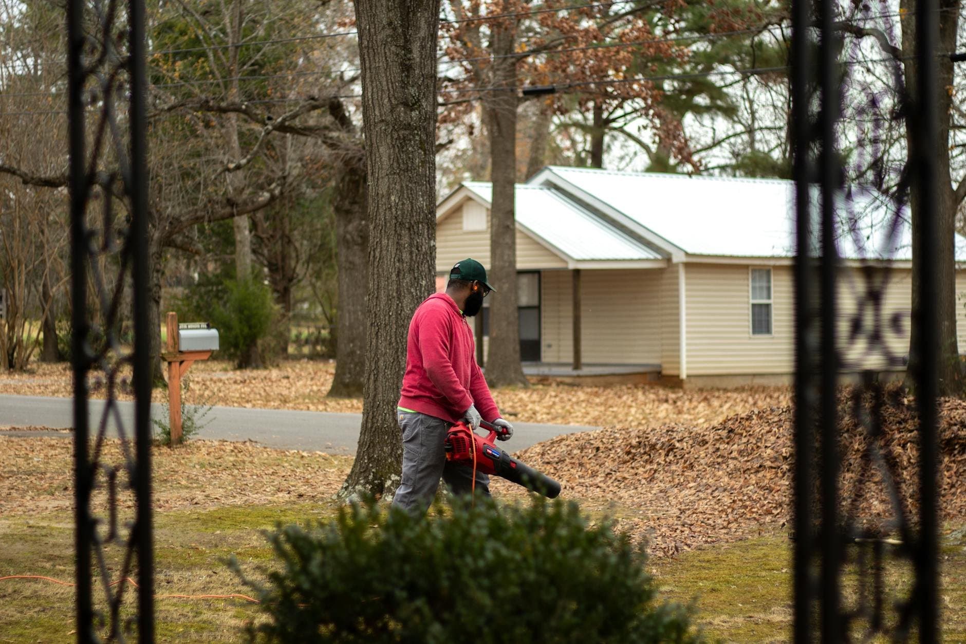 Article Image: seasonal work (by Paris Lopez)