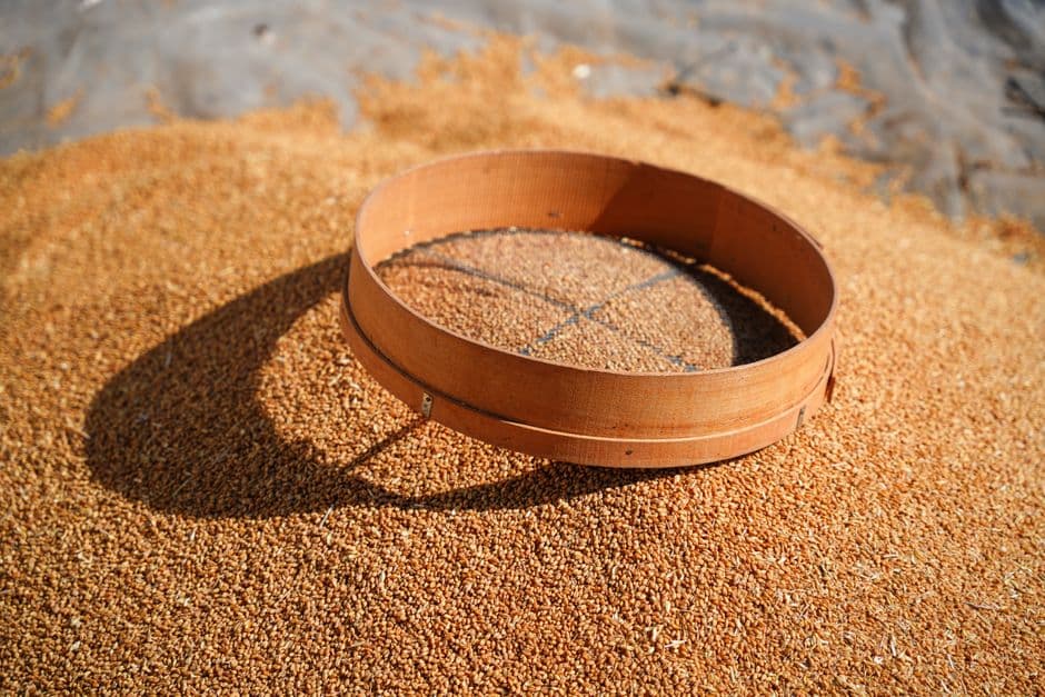Grain Intake & Drier Operator