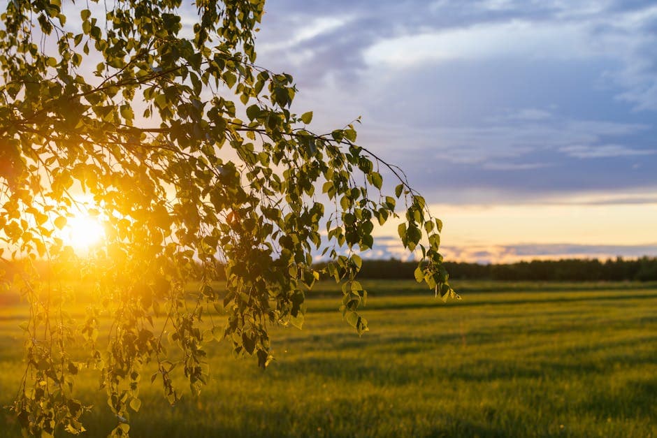 Caregiver, summer job 2026, Home care Uittotiimi and Pohjolantiimi, Rovaniemi home care