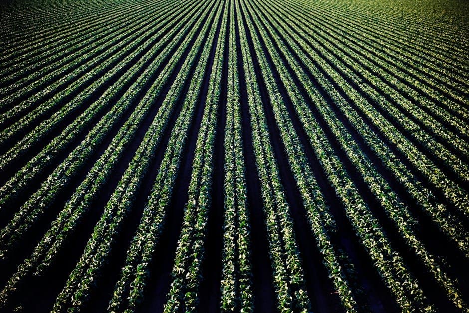 Guide Image: Agriculture (by Tim Mossholder)