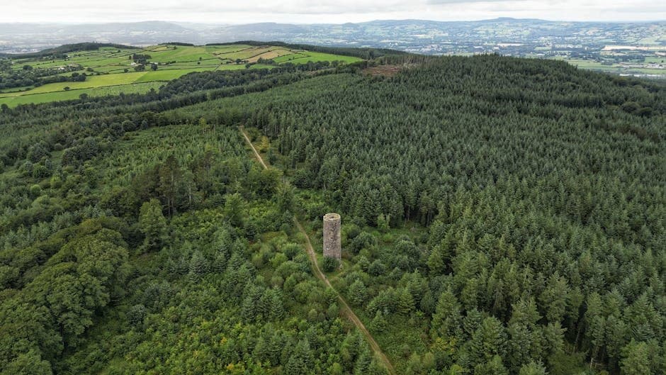 Guide Image: Ireland IE (by Jay's Photography)
