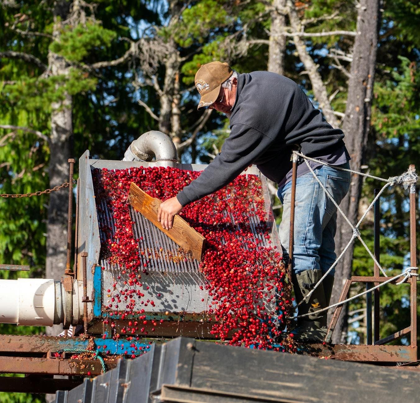 Article Image: seasonal jobs (by Mike Knibbs)