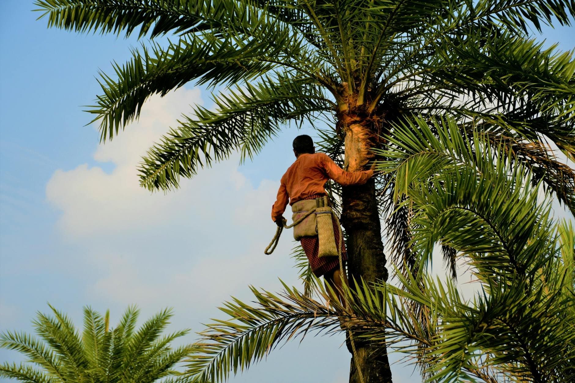 Article Image: seasonal jobs (by masudar rahman)
