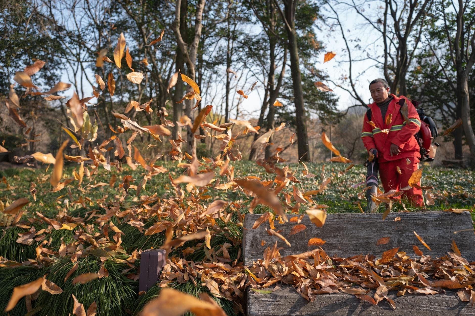 Article Image: seasonal jobs (by Ansel Lee)
