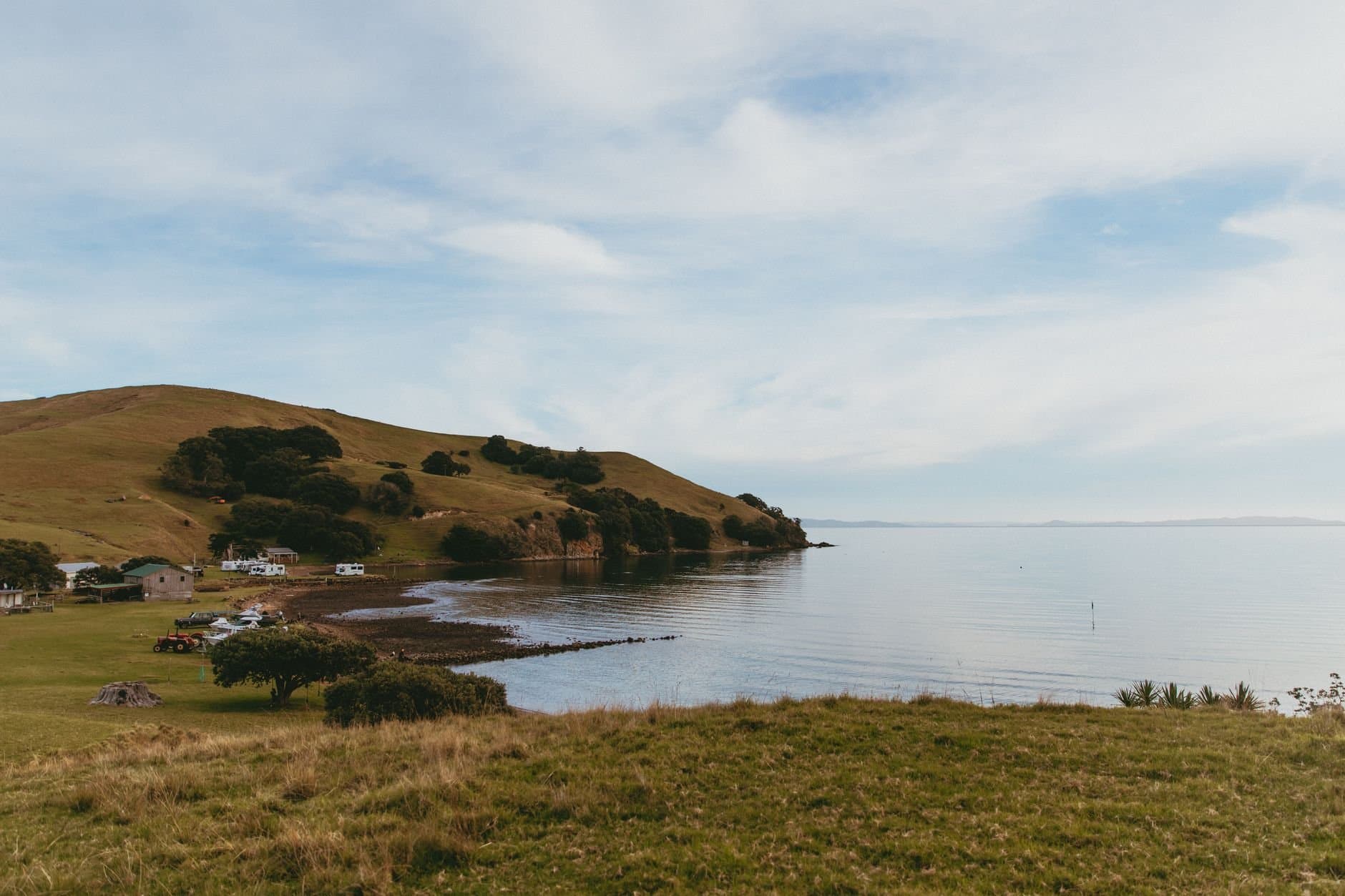 Article Image: New Zealand (by Petra Reid)