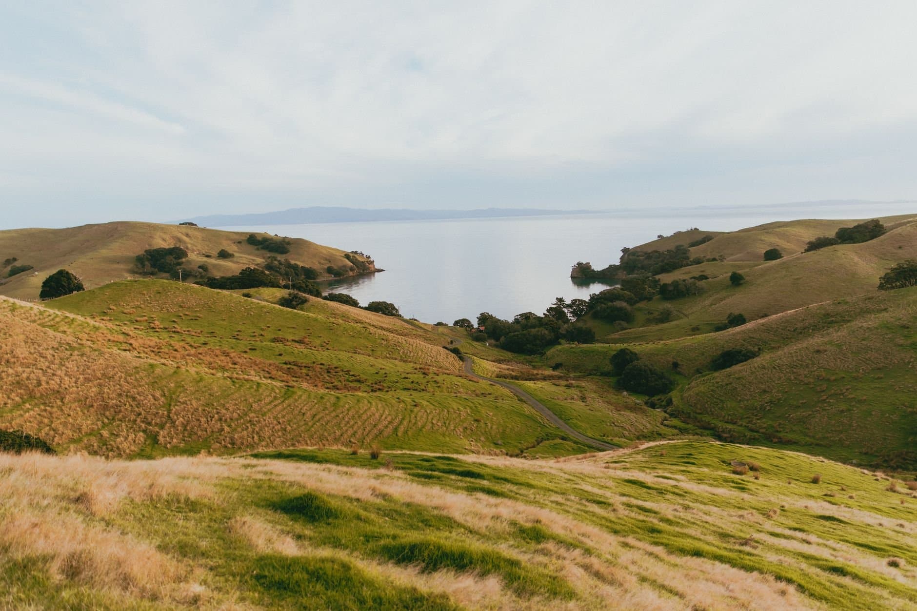 Article Image: New Zealand (by Petra Reid)