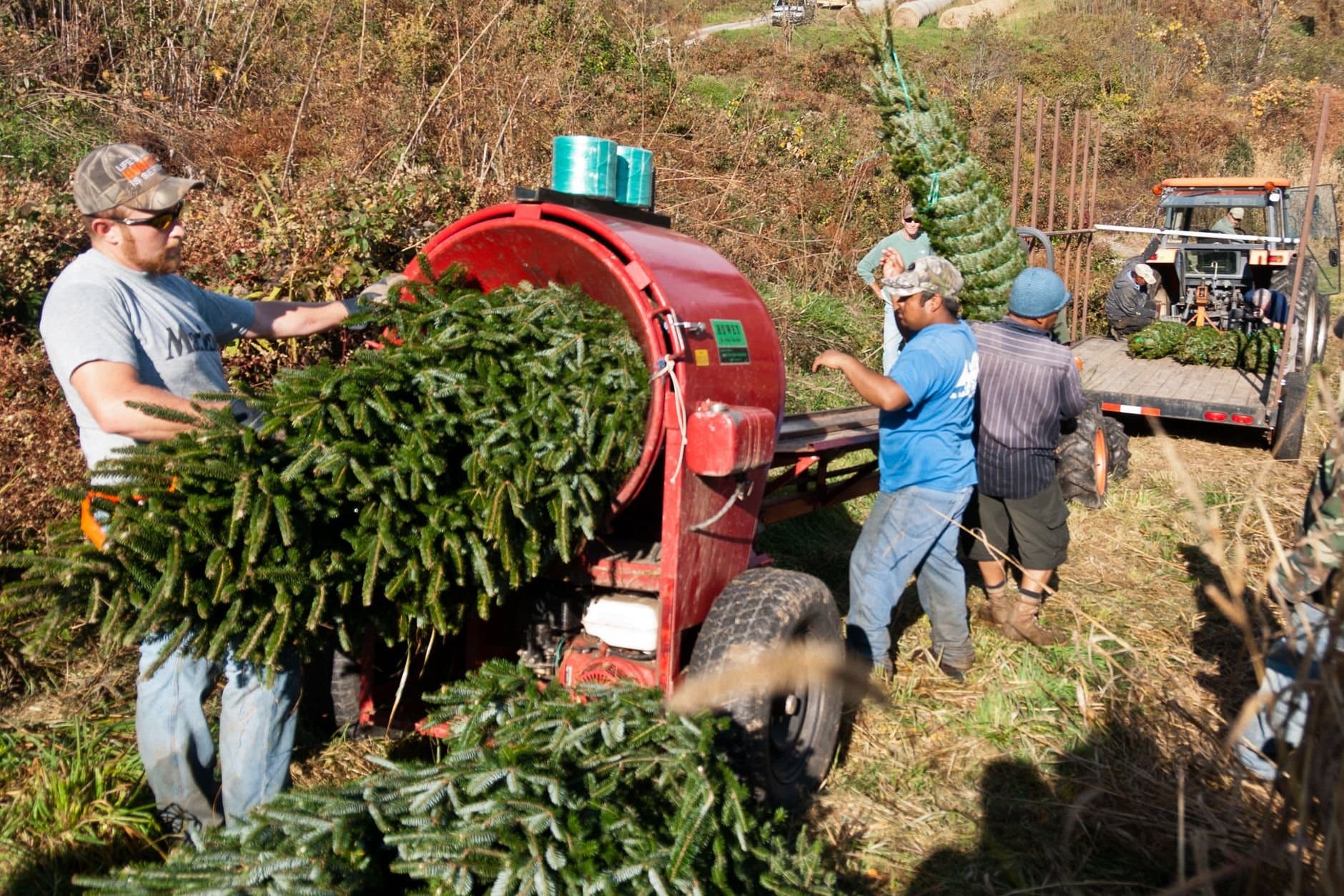 Article Image: seasonal employment (by Mark Stebnicki)