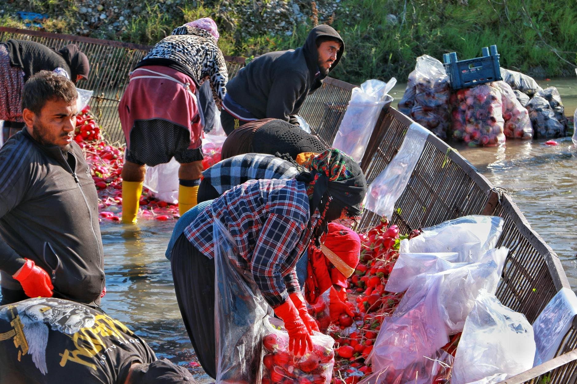 Article Image: seasonal jobs (by Emrehan Çolak)