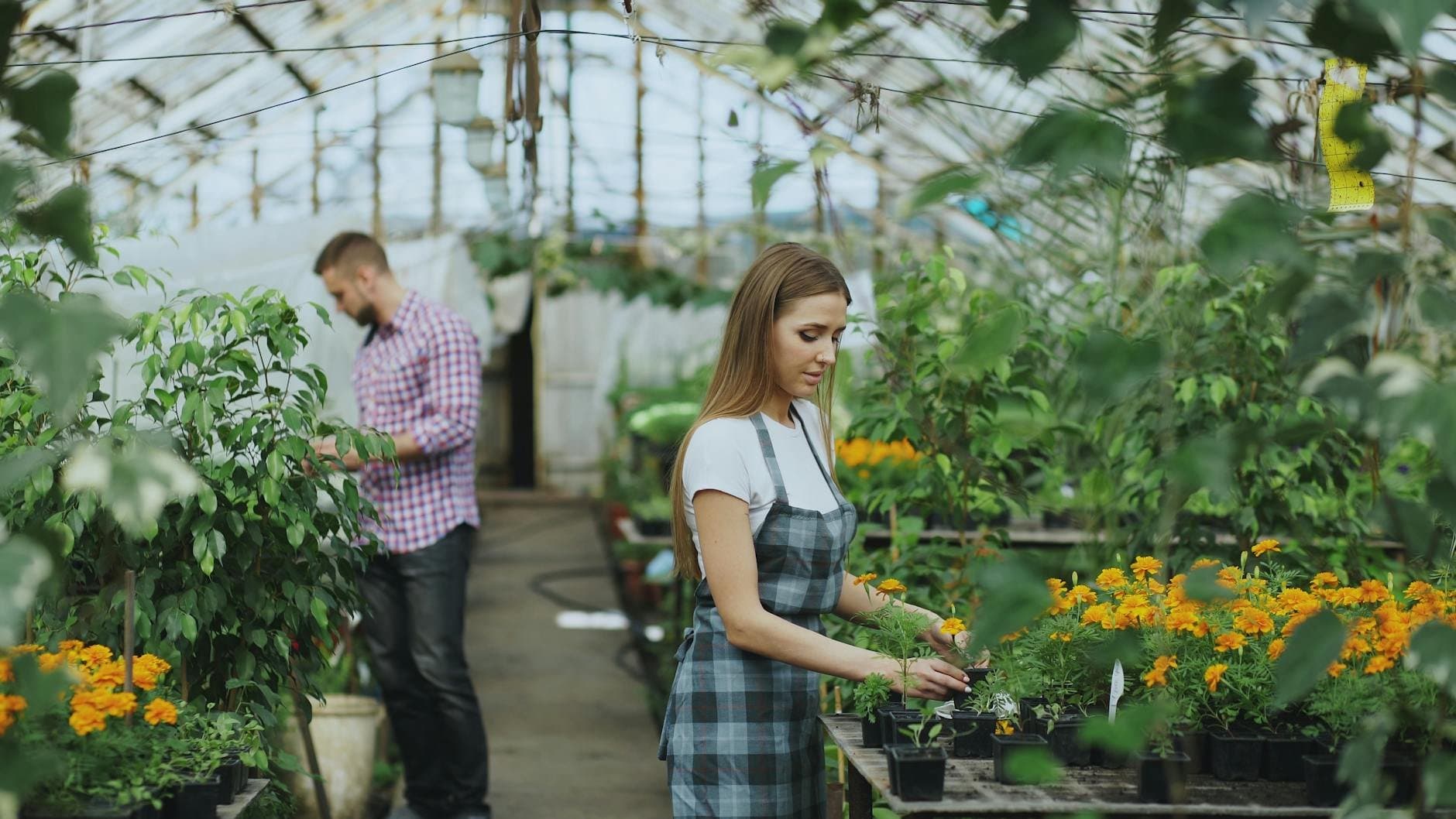 Article Image: seasonal jobs (by Vitaly Gariev)