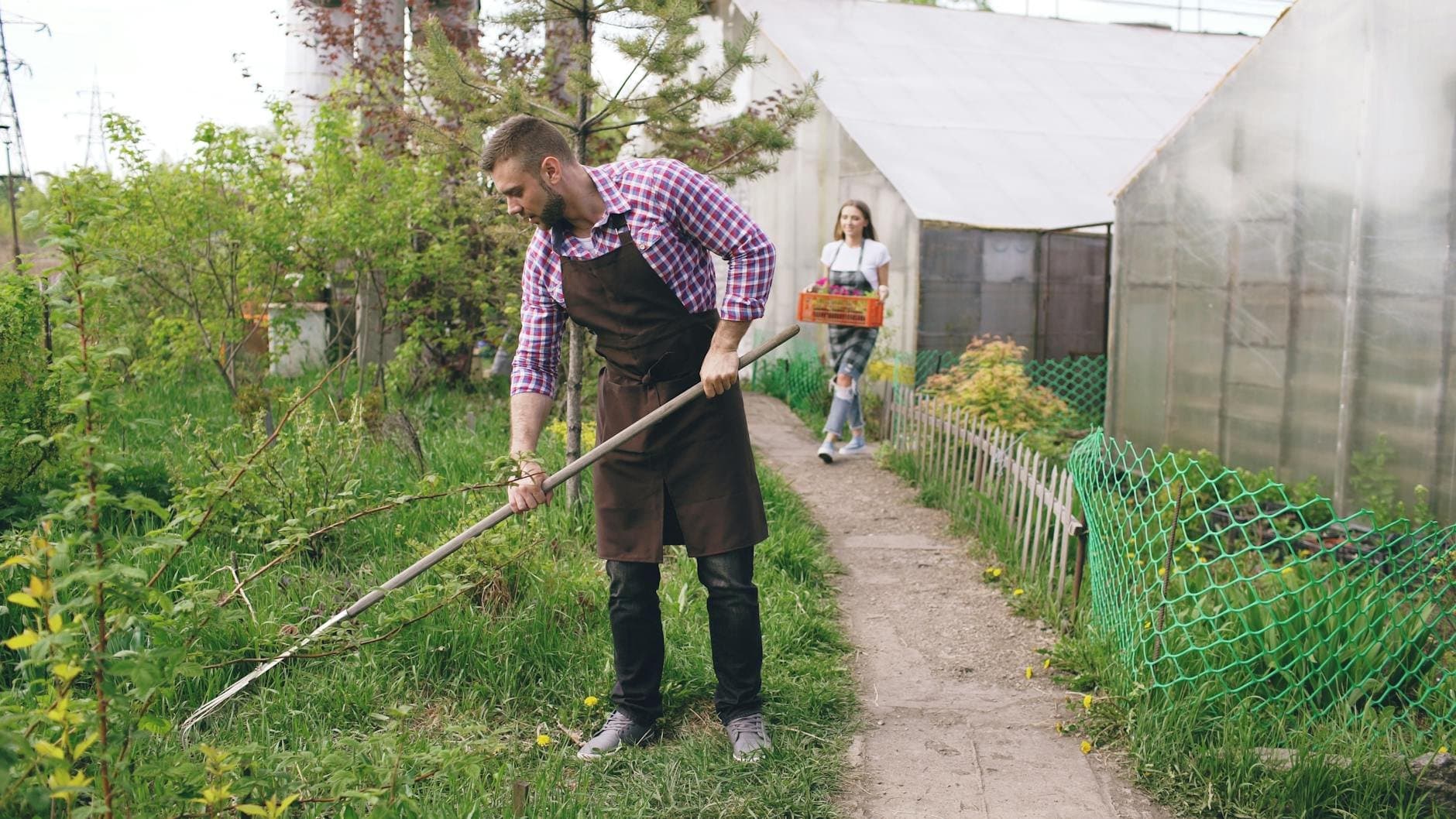 Article Image: seasonal work (by Vitaly Gariev)