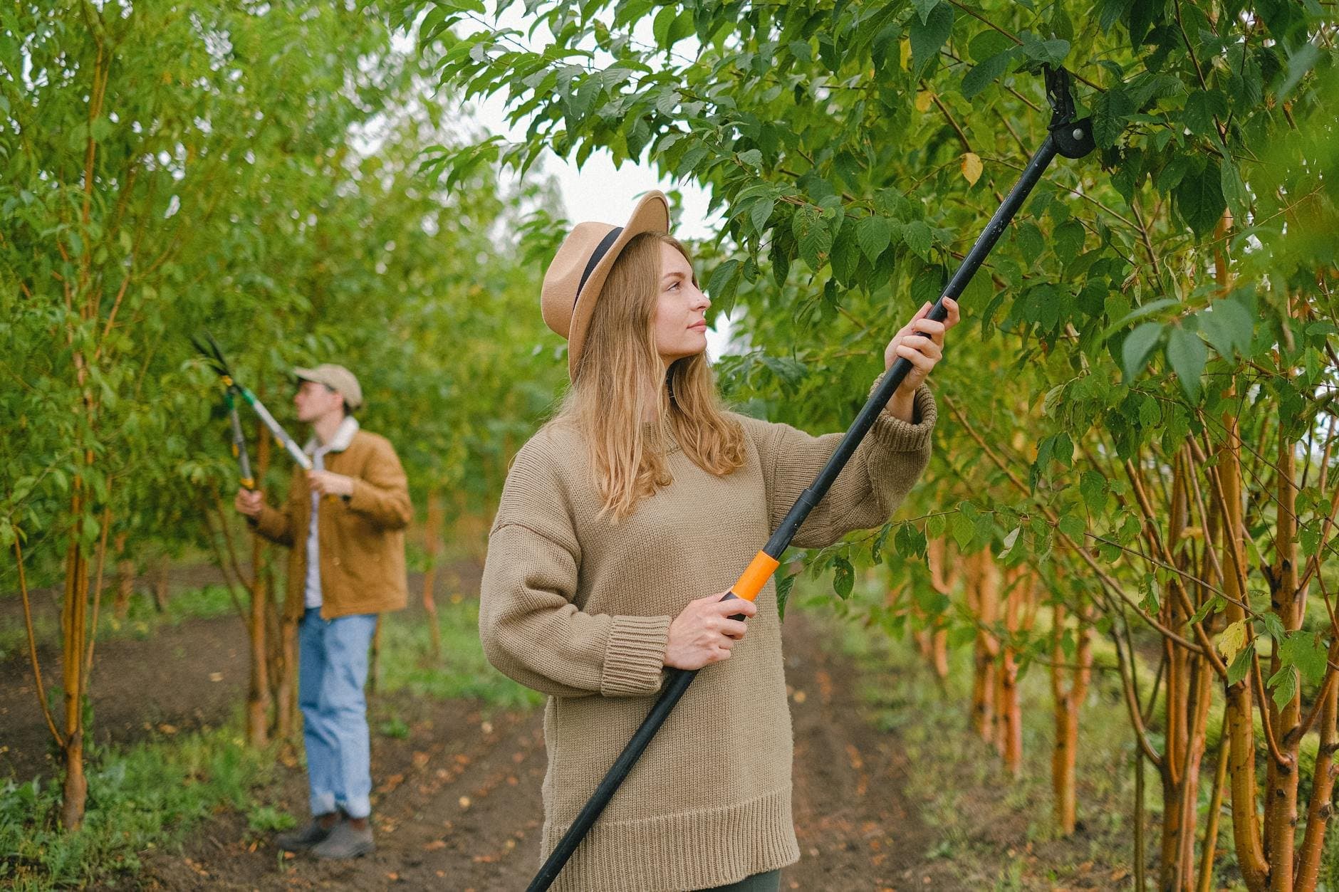 Article Image: seasonal job (by Anna Shvets)