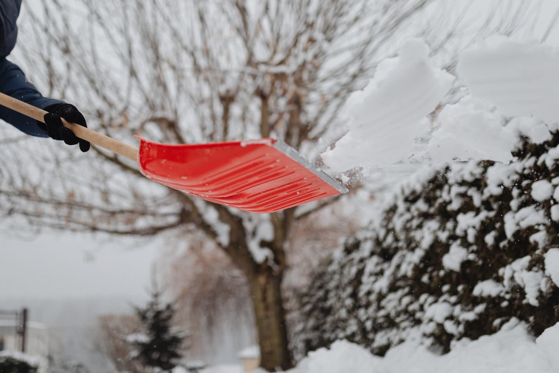 Article Image: seasonal work (by https://kaboompics.com/)