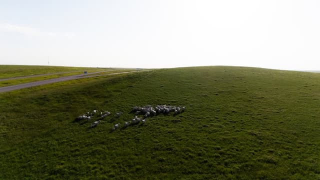 Greenhouse & Hydroponics Technician