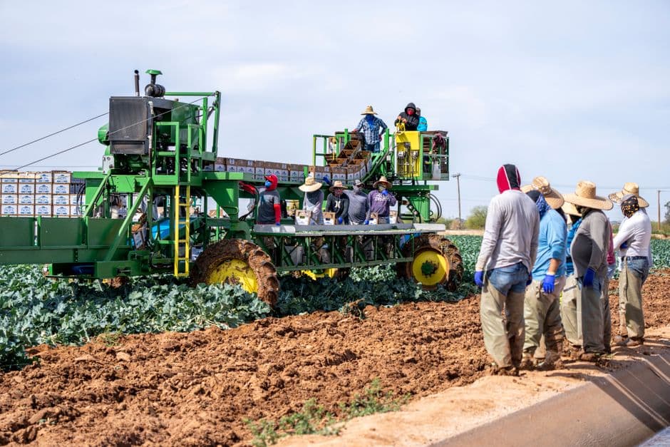 Seasonal Produce Field Hand