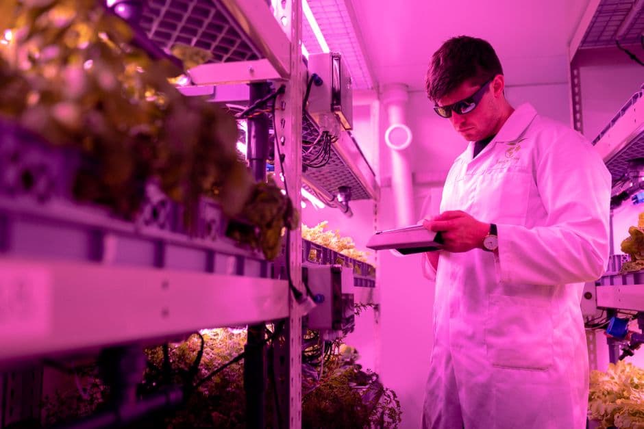 Seasonal Quality & Traceability Assistant