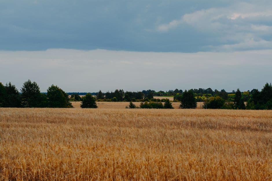Farmer