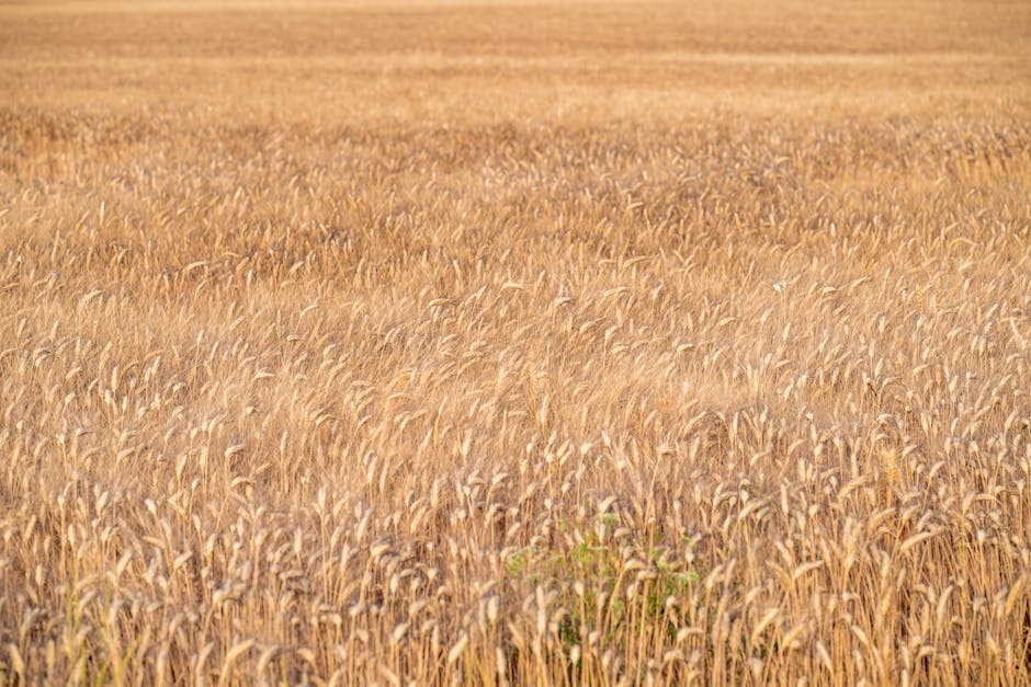 Specialists in agriculture, forestry and aquaculture